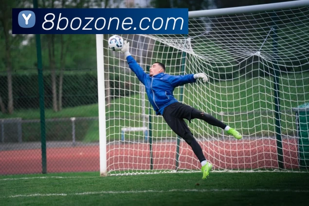 8博社区APP 封面图